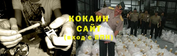 ГАЛЛЮЦИНОГЕННЫЕ ГРИБЫ Богородицк