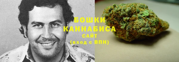 PSILOCYBIN Богданович