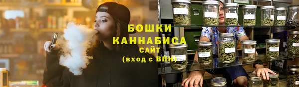 PSILOCYBIN Богданович