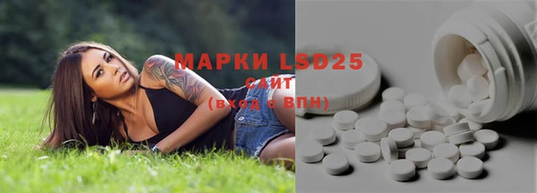 PSILOCYBIN Богданович