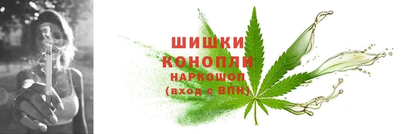 PSILOCYBIN Богданович