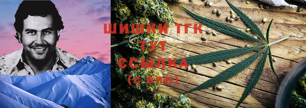 PSILOCYBIN Богданович