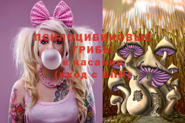 тгк Богородск
