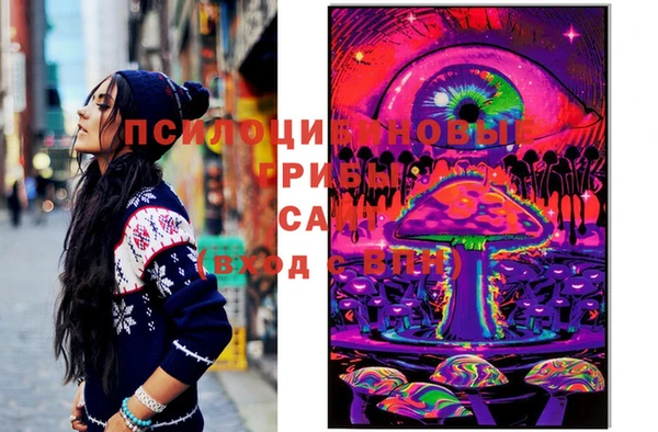 PSILOCYBIN Богданович
