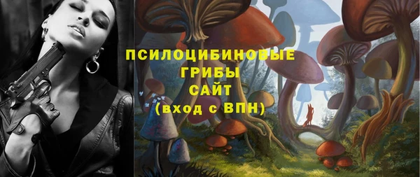 тгк Богородск
