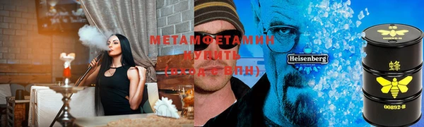 PSILOCYBIN Богданович