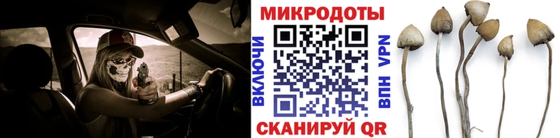 купить наркотики цена  Саяногорск  Псилоцибиновые грибы MAGIC MUSHROOMS 